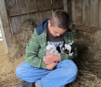 On the Farm: a Tale of Sorrow and Hope Image